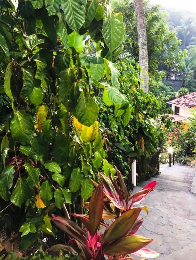 モロ・デ・サンパウロ Remanso Da Ilha Bed & Breakfast エクステリア 写真
